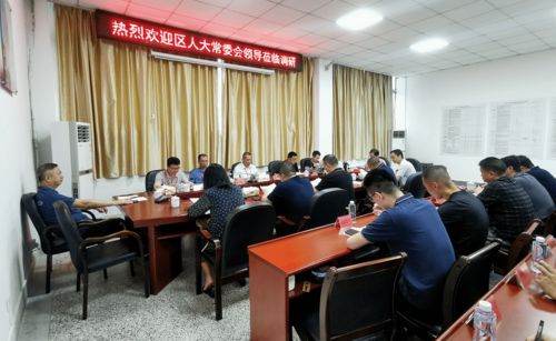 区人大常委会视察国有资产管理情况